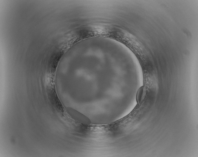 X0000115040419200912071113