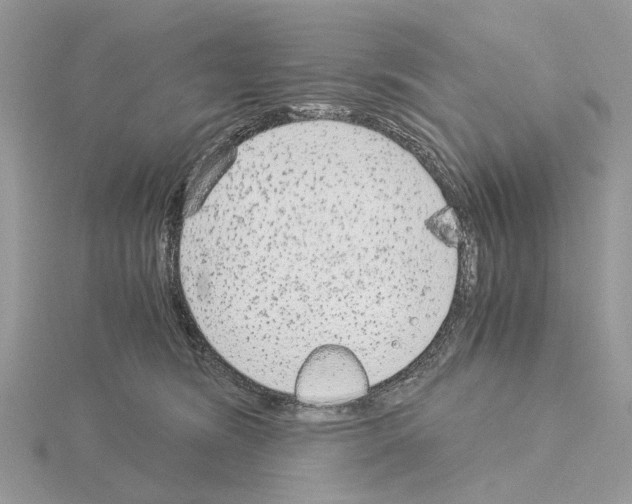 X0000115040420200912071113