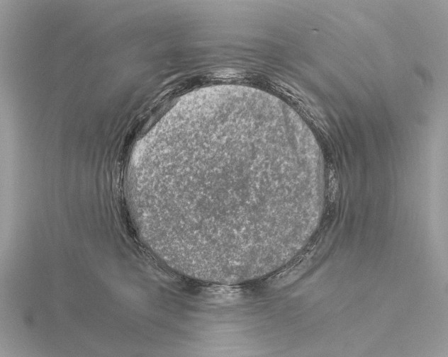 X0000115040421200912071113