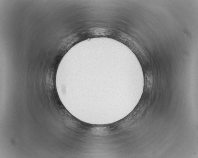 X0000115040422200912071113