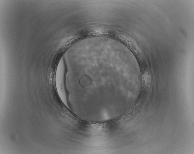 X0000115040423200912071113