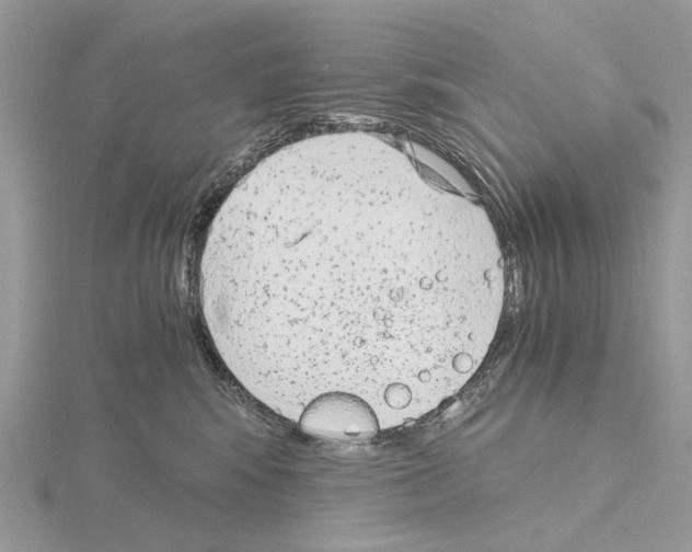 X0000115040424200912071113