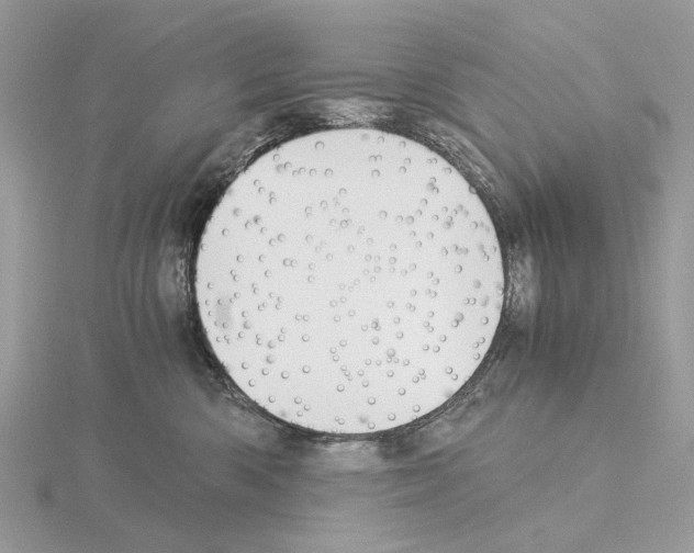 X0000115040426200912071113