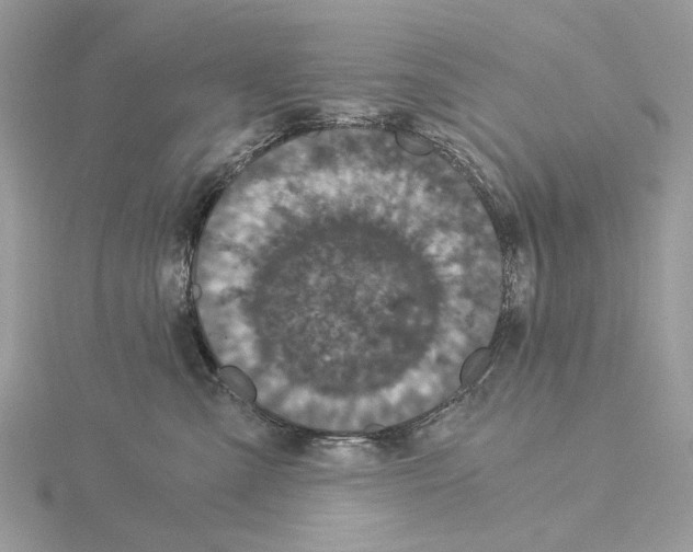 X0000115040427200912071113