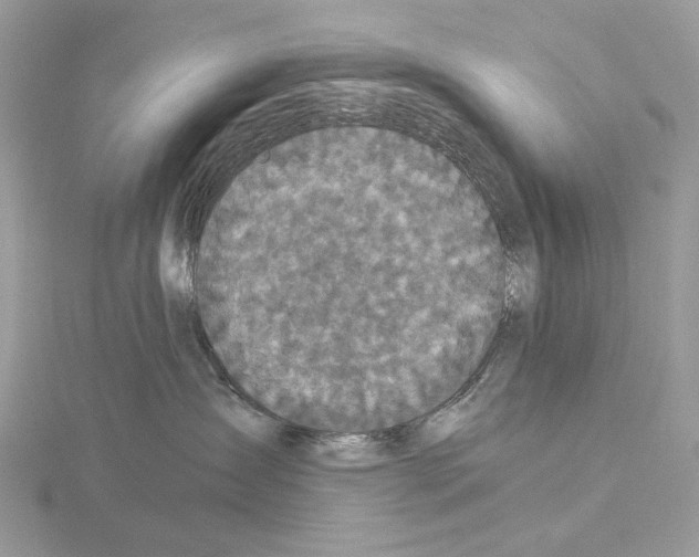 X0000115040431200912071113