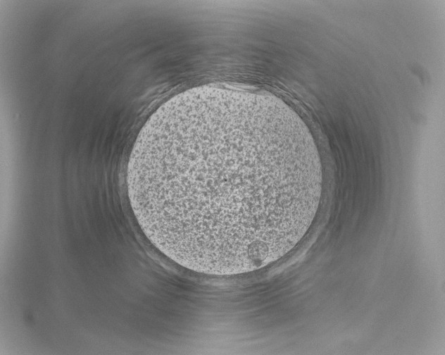 X0000115040432200912071113