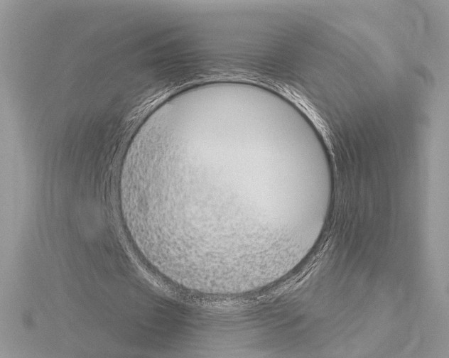 X0000115040433200912071112