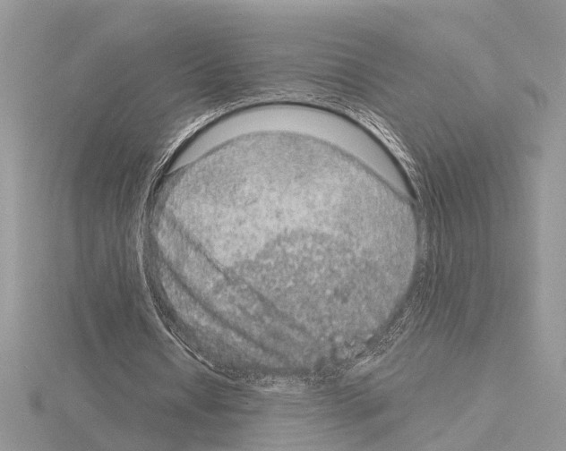 X0000115040434200912071112