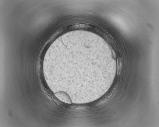 X0000115040435200912071112