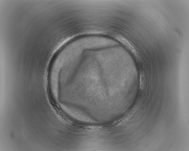 X0000115040436200912071112