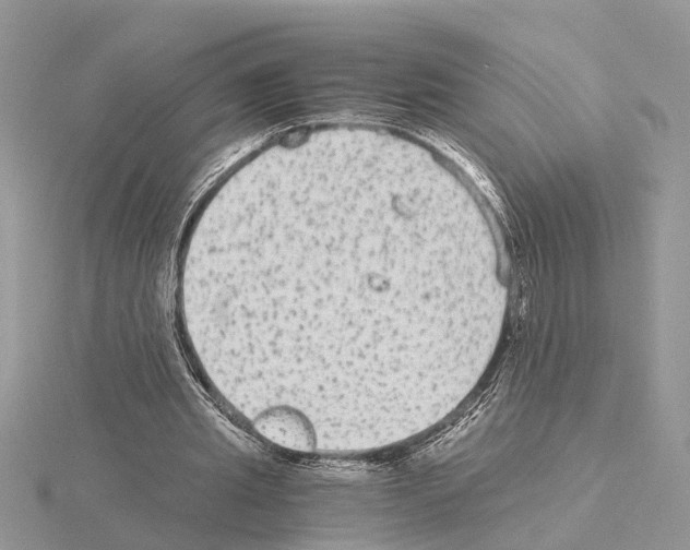 X0000115040437200912071112