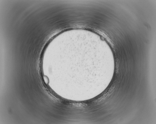 X0000115040439200912071112