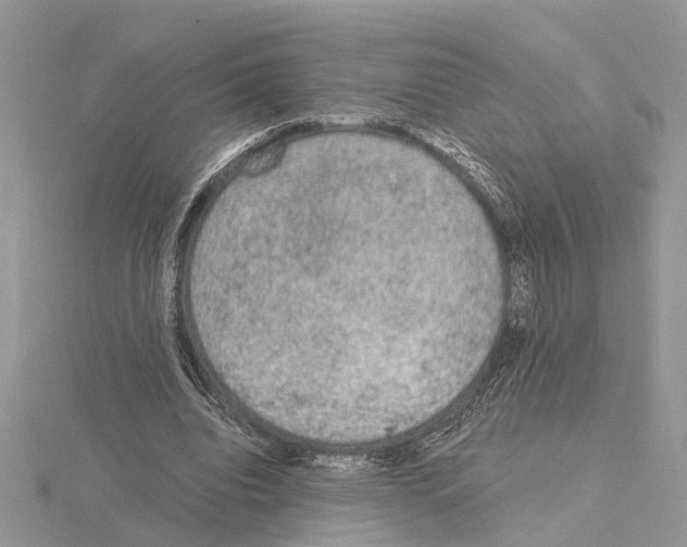 X0000115040440200912071112