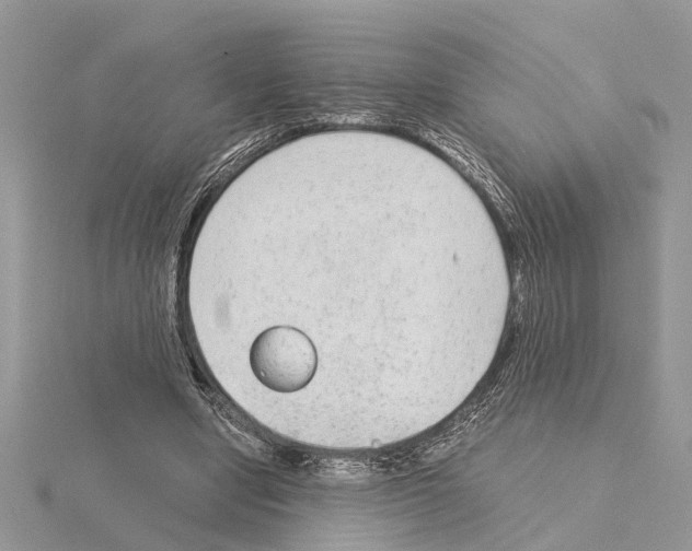 X0000115040442200912071112