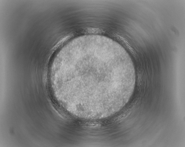 X0000115040443200912071112