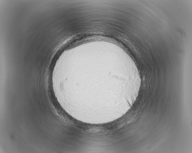 X0000115040446200912071113