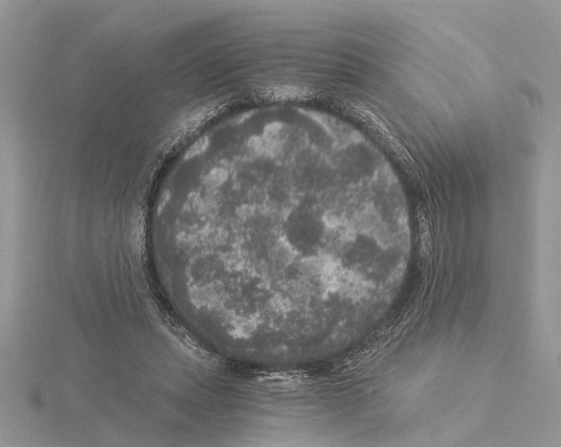 X0000115040447200912071113