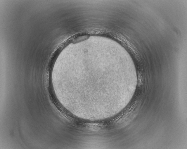 X0000115040448200912071113