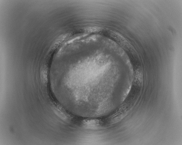 X0000115040452200912071113