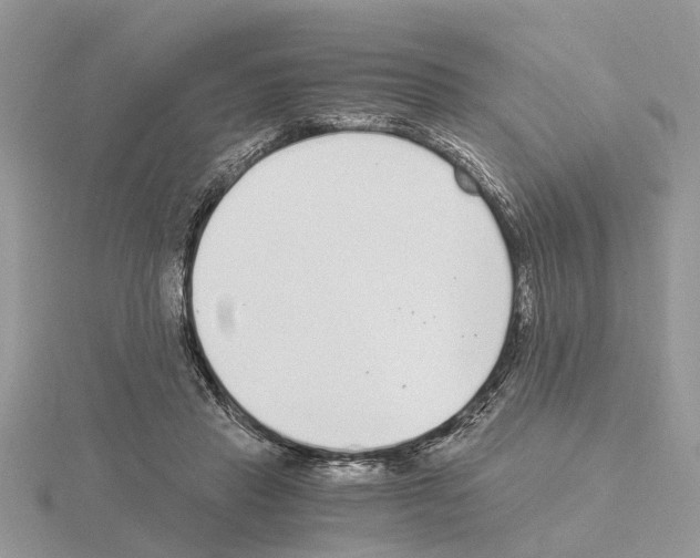 X0000115040453200912071113