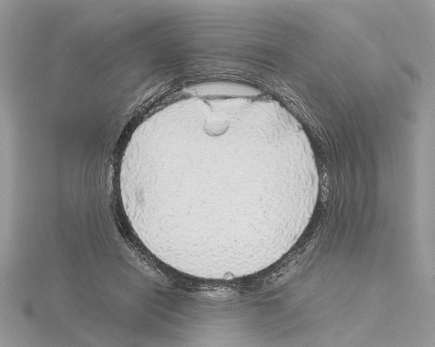 X0000115040454200912071113