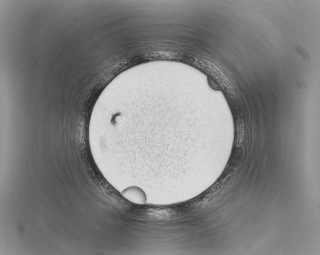 X0000115040457200912071113