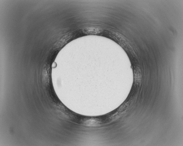 X0000115040460200912071113