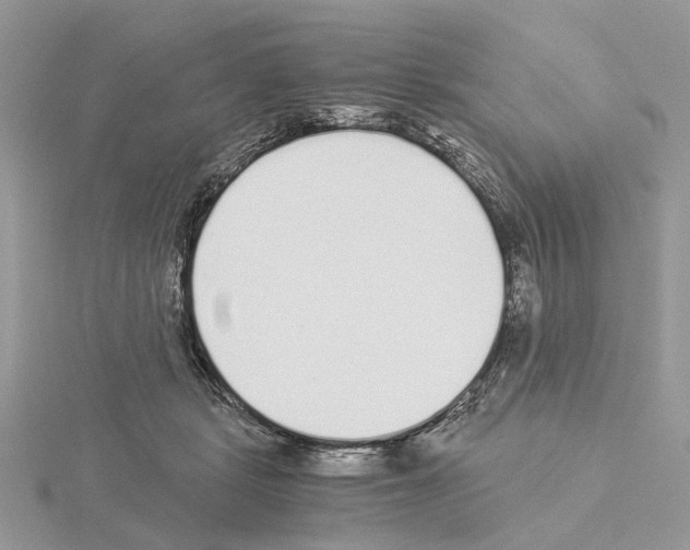 X0000115040461200912071113