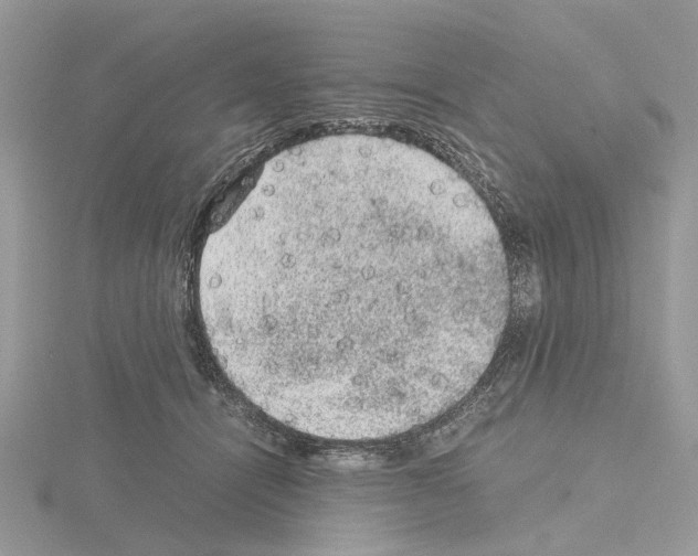 X0000115040464200912071113