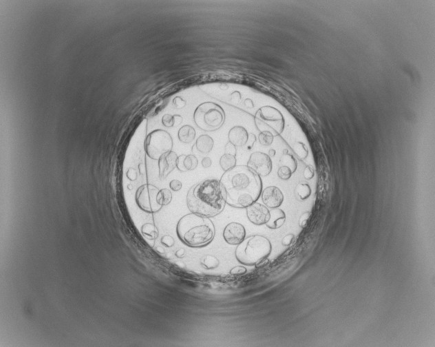 X0000115040466200912071113