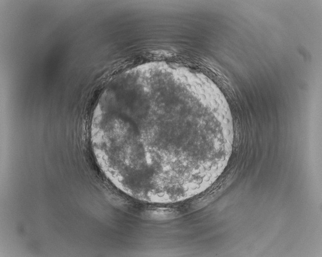 X0000115040467200912071113