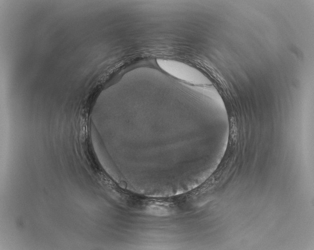 X0000115040471200912071113