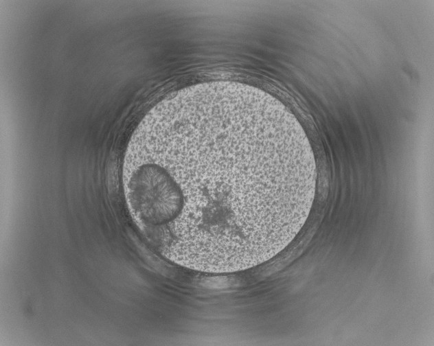 X0000115040473200912071113