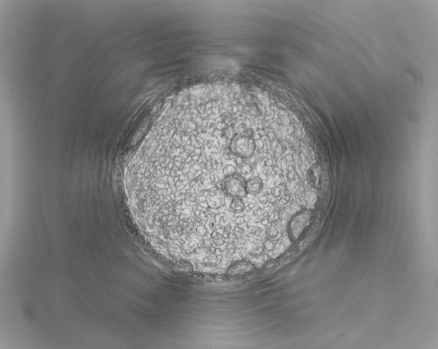 X0000115040474200912071113