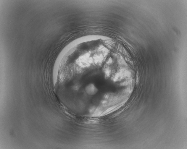 X0000115040475200912071113