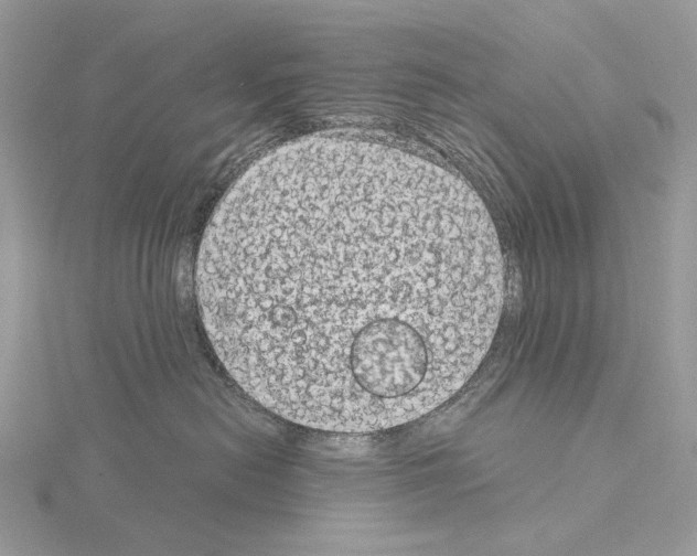 X0000115040478200912071113