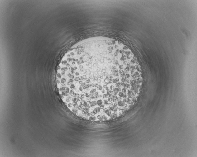 X0000115040480200912071113