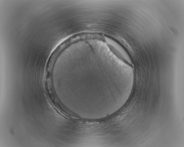 X0000115040484200912071112