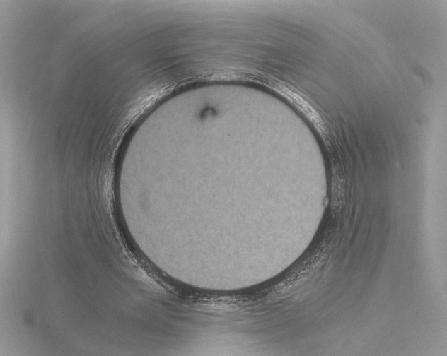 X0000115040485200912071112