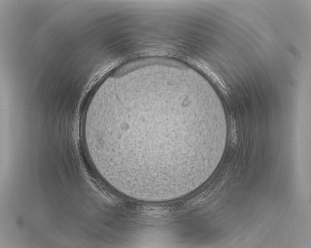 X0000115040486200912071112