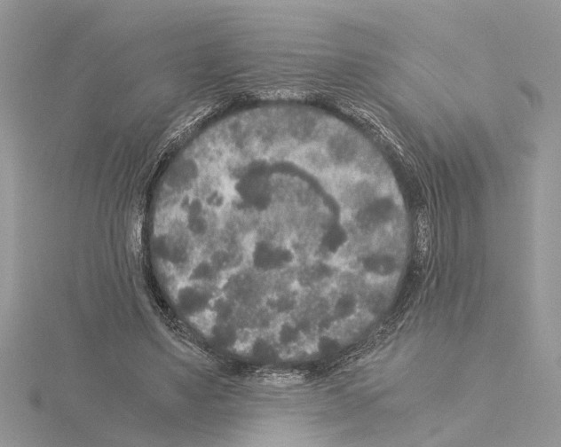 X0000115040491200912071112