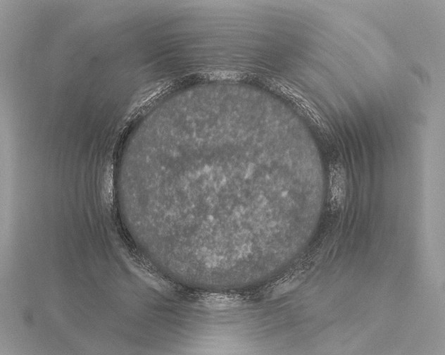 X0000115040494200912071112