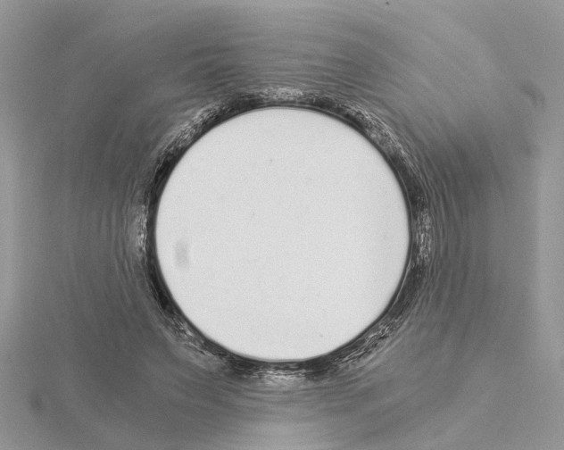 X0000115040495200912071112