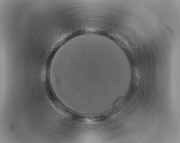 X0000115040496200912071112