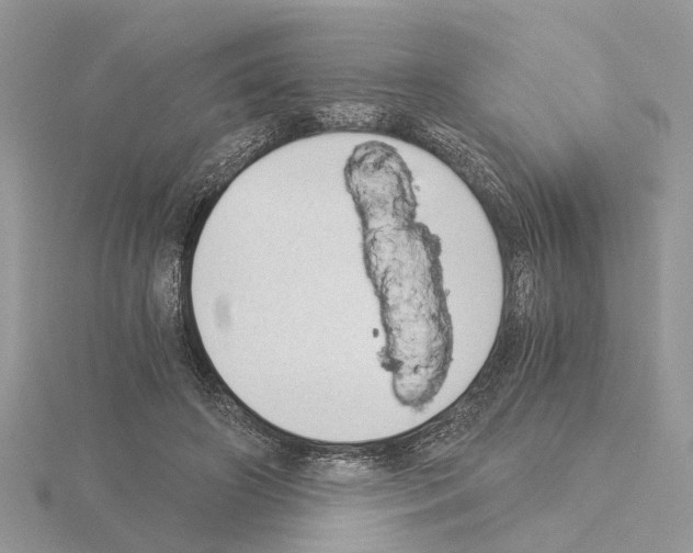 X0000115040498200912071112