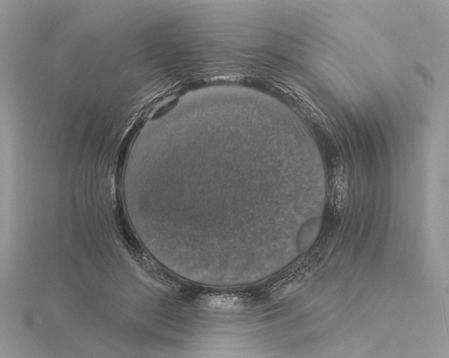 X0000115040500200912071112