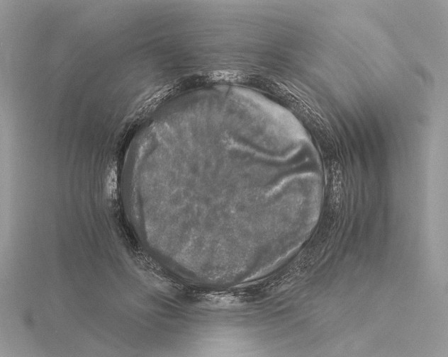 X0000115040502200912071112