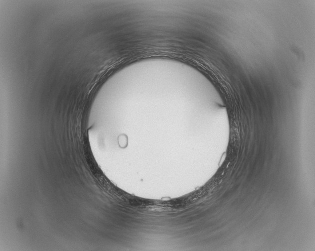 X0000115040504200912071112