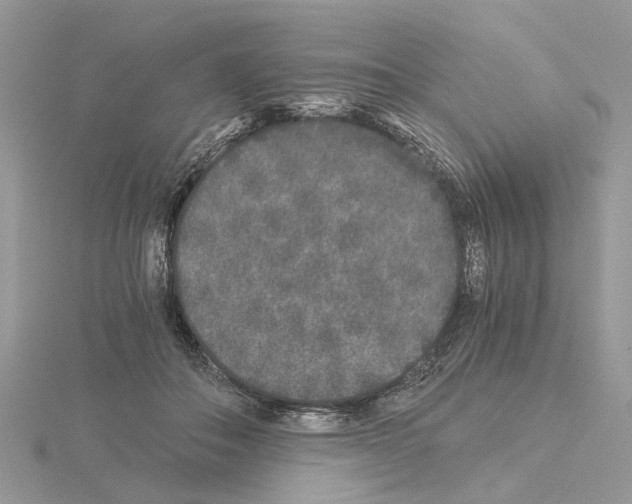 X0000115040506200912071112