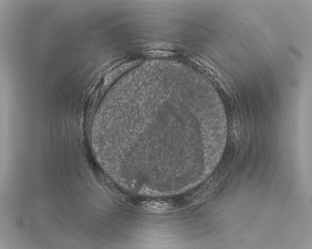 X0000115040512200912071112